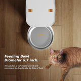 FurPipi Automatic Cat & Dog Feeder – 8L Smart Food Dispenser with Key Control, SUS+ABS Durable Build