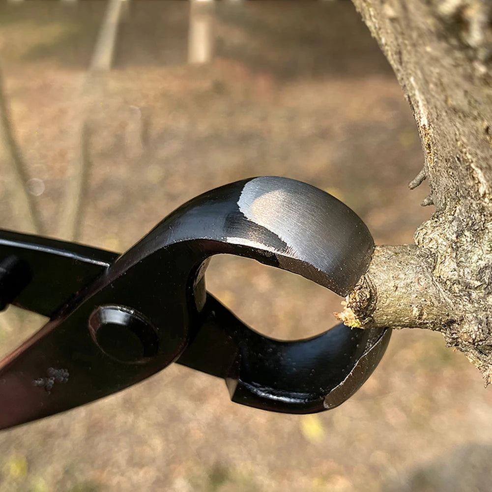 210 mm Bonsai Scissor – Alloy Steel Branch Cutter & Pruning Pliers for Bonsai Trees