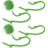 Interactive Rolling Ball Toy for Cats & Small Dogs – USB Rechargeable Smart Pet Wheel with Faux Tail