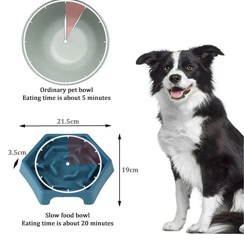 Dog Bowl Anti-Choking Slow Feeder – Non-Slip Pet Food Bowl for Small & Medium Dogs and Cats 🐶🐱✨