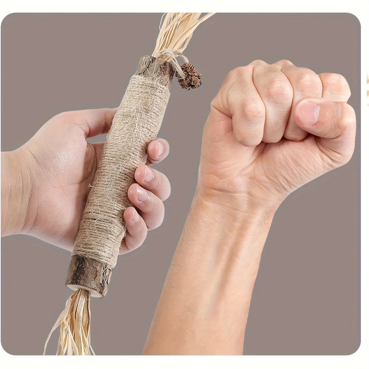 3–6PCS Natural Silvervine Cat Chew Toys – Large Chewable Sticks for Kittens & Adult Cats, Indoor Play & Dental Health