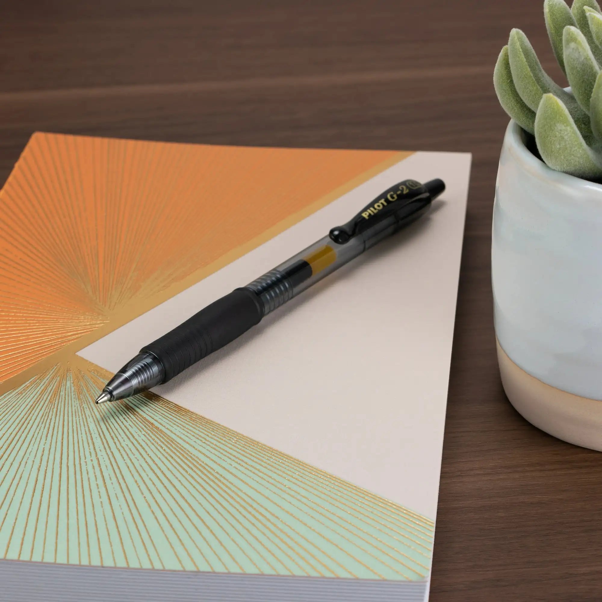 Pilot G2 Gel Pens – 10-Pack Bold Point Retractable Roller Pens with Assorted Ink Colors ✍️