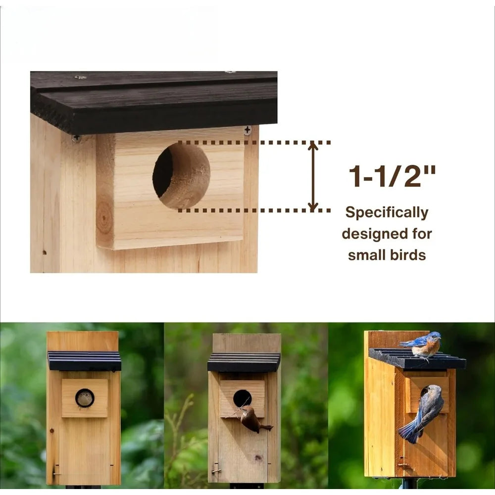 Cedar Bluebird Box House – Premium Cedar Nest Box for Bluebirds & Songbirds