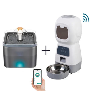 3.5L WIFI  And 2L B