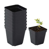 Reusable 50-Piece Square Seeding Cups Starter Pots with Drainage Holes – Nursery Planting Set