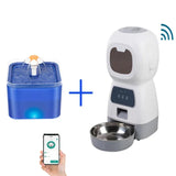 Automatic Pet Feeder with WiFi App – 3.5L Programmable Cat & Dog Food Dispenser with Stainless Steel Bowl