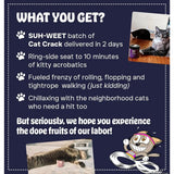 100% Natural Catnip Blend – Non-GMO North American Cat Treats for Zoomies, Safe & Non-Addictive Feline Fun