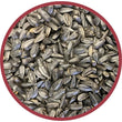 New Select Black Oil Sunflower Seed – 10LB Bag of Premium Wild Bird Dry Feed for Outdoor Bird Feeding & Year-Round Nutrition