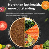 High-Protein Betta Fish Feed – Bio-Gold Pellets for Betta Health & Clean Water