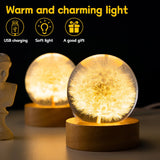Forever Flowers Crystal Ball Light – LED Round Night Lamp with Wooden Base, Decorative Home & Office Gift for Men, Women & Kids