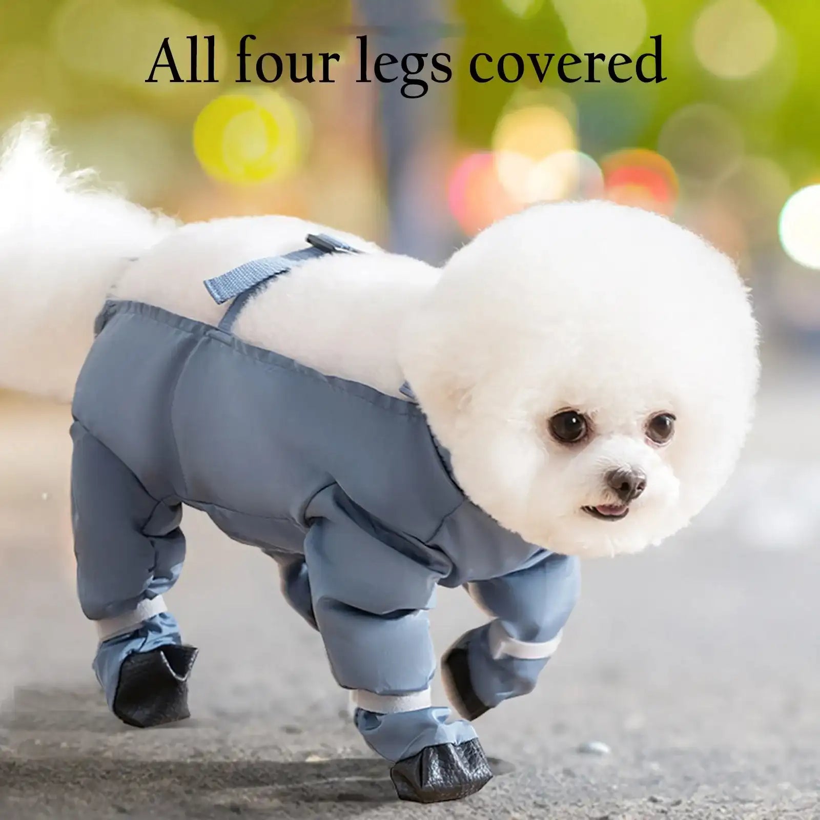 Universal Dog Shoes & Windproof Jacket – Four-Season Outing Accessories for Small/Medium/Large Dogs