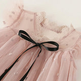 Girls Embroidered Mesh Vintage Dress – Korean Style Toddler Party Dress (Elegant & Comfortable)