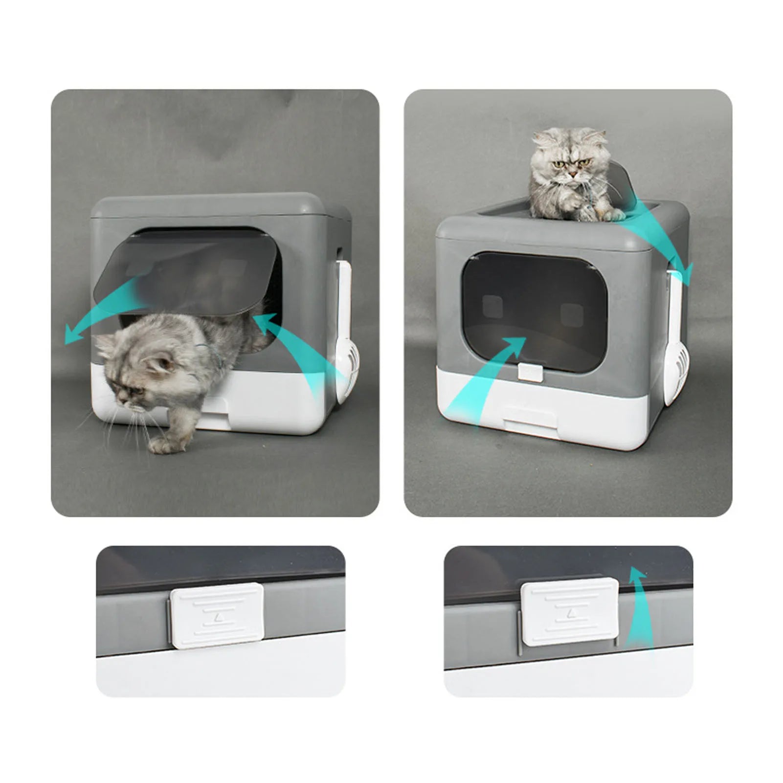 Large Plastic Cat Litter Box – Spill-Proof High-Side Cat Toilet Tray