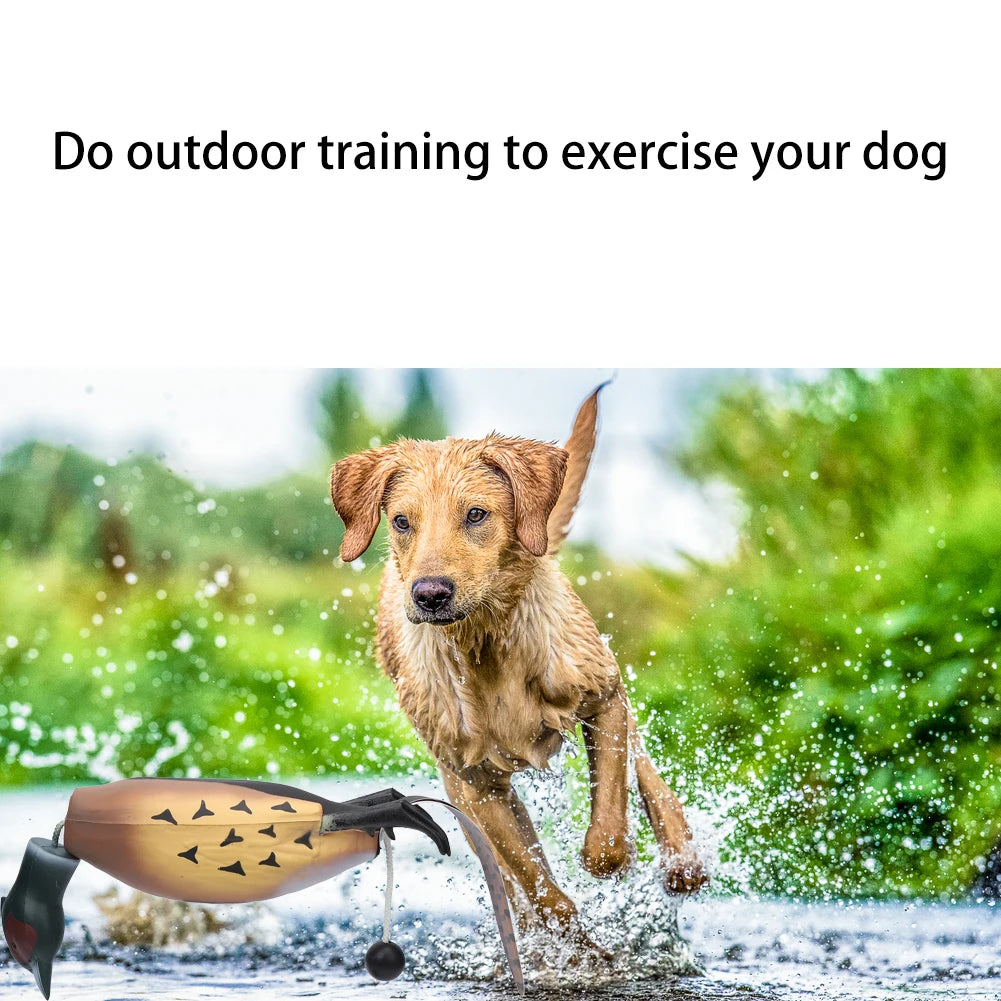 Multipurpose Pet Dead Fowl Fetch Toy – Realistic Training Dummy for Dogs, Indoor & Outdoor Retriever Practice