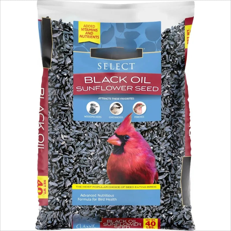 New Select Black Oil Sunflower Seed – 10LB Bag of Premium Wild Bird Dry Feed for Outdoor Bird Feeding & Year-Round Nutrition