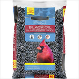 New Select Black Oil Sunflower Seed – 10LB Bag of Premium Wild Bird Dry Feed for Outdoor Bird Feeding & Year-Round Nutrition