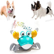 https://www.pulingo.com/products/engaging-interactive-dancing-crab-dog-toy-with-musical-sounds-entertaining-and-stimulating-pet-toy-for-dogs-and-cats-keeps-y?utm_source=copyToPasteBoard&utm_medium=product-links&utm_content=web