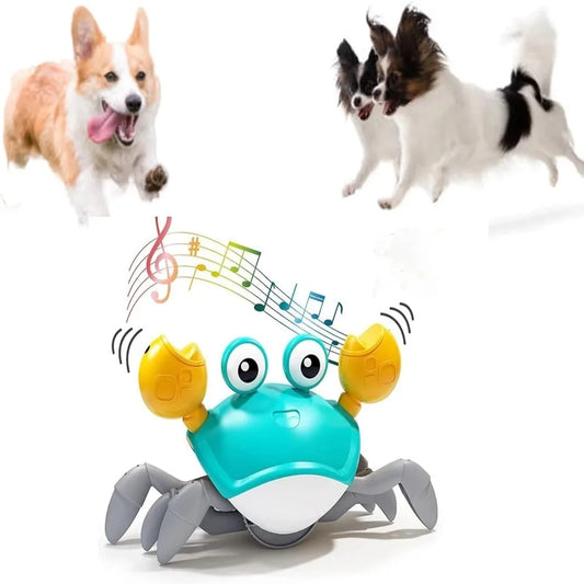https://www.pulingo.com/products/engaging-interactive-dancing-crab-dog-toy-with-musical-sounds-entertaining-and-stimulating-pet-toy-for-dogs-and-cats-keeps-y?utm_source=copyToPasteBoard&utm_medium=product-links&utm_content=web