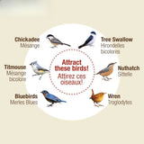 Cedar Bluebird Box House – Premium Cedar Nest Box for Bluebirds & Songbirds