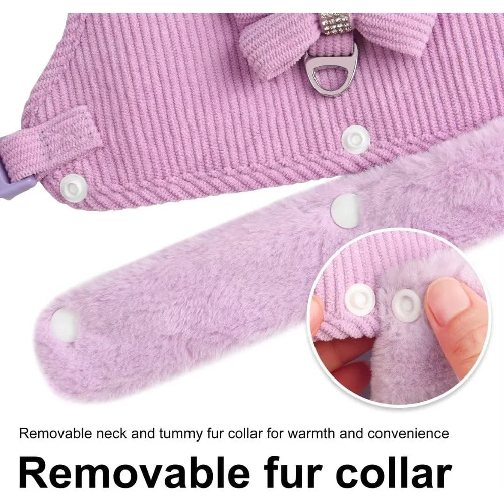 Cute Small Dog Harness & Leash Set with Bow Tie – Soft Padded Adjustable Pet Vest for Indoor & Outdoor Walking