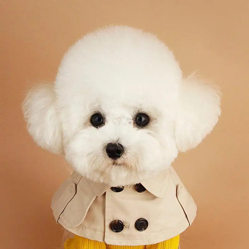 British Style Dog Cloak – Fashion Windbreaker Cape for Small Dogs (Corgi, French Bulldog & More)