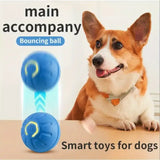 Gravity Intelligent Jumping Ball – USB Rechargeable Pet Toy for Cats & Dogs