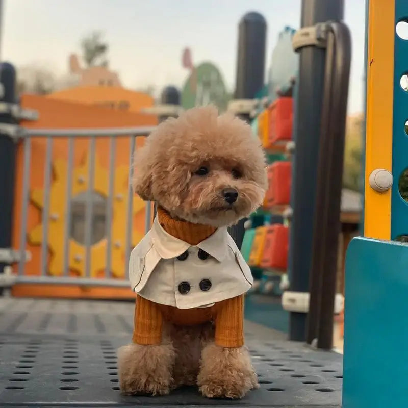 British Style Dog Cloak – Fashion Windbreaker Cape for Small Dogs (Corgi, French Bulldog & More)
