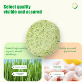 Cat Grass Treats – Freeze-Dried Chew Biscuits for Kittens & Adult Cats, Teeth Cleaning & Healthy Digestive Support