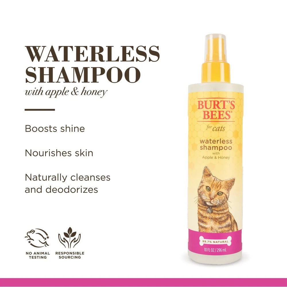 Natural Waterless Dry Shampoo for Cats & Kittens – Shea Butter & Honey Grooming Spray, PH-Balanced Gentle Cleansing Formula