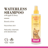 Natural Waterless Dry Shampoo for Cats & Kittens – Shea Butter & Honey Grooming Spray, PH-Balanced Gentle Cleansing Formula
