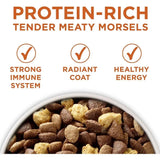 Plus Healthy Weight High-Protein Dog Food – Dry Formula for Weight Management & Energy Support (40 lb Bag)