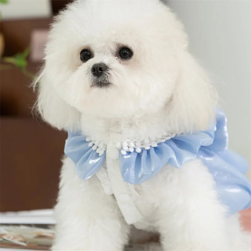 Adorable Small Dog Tutu Dress – Bowknot Lace Princess Outfit for Puppies & Cats
