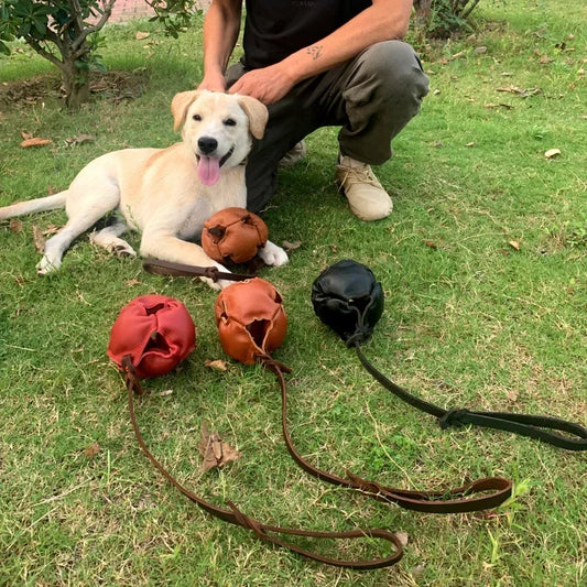 Leather Dog Training Ball – Tug, Bite & Fetch Toy with Handle for Puppies & Dogs