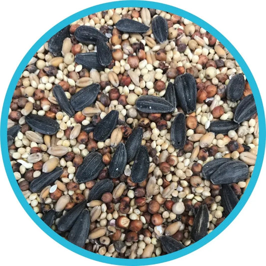 Home Classic Wild Bird Feed & Seed – 20LB Dry Bag, Premium Natural Blend for Outdoor Bird Feeding & Healthy Nutrition