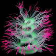 Glow-in-Dark Silicone Coral Aquarium Decor – Fluorescent Sea Anemone Simulation for Fish Tank Landscape