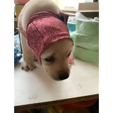 Breathable Cat Muzzle – Anti-Biting & Chewing Pet Grooming Bag for Bathing & Indoor Control 🐱🔒