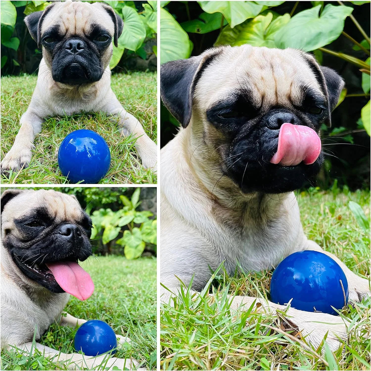 https://www.pulingo.com/products/superchewy-tough-dog-ball-toy-strong-natural-rubber-great-fetch-toy-durable-chew-toy-for-aggressive-chewers-large-breed-tested?utm_source=copyToPasteBoard&utm_medium=product-links&utm_content=web