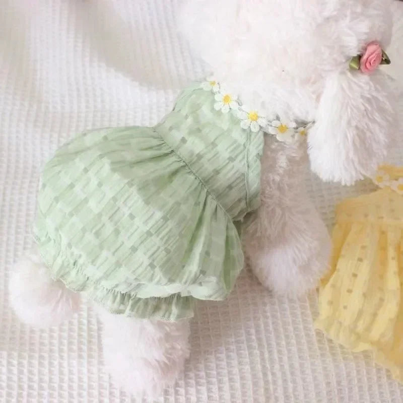 https://www.pulingo.com/products/daisy-dress-pet-clothing-dogs-thin-breathable-for-dog-clothes-costume-small-french-bulldog-soft-cute-summer-yollow-girl-mascotas?utm_source=copyToPasteBoard&utm_medium=product-links&utm_content=web