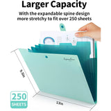 https://www.pulingo.com/products/expanding-file-folder-5-pocket-folders-for-documents-portable-paper-organizer-for-school-office-supplies-a4-size?utm_source=copyToPasteBoard&utm_medium=product-links&utm_content=web