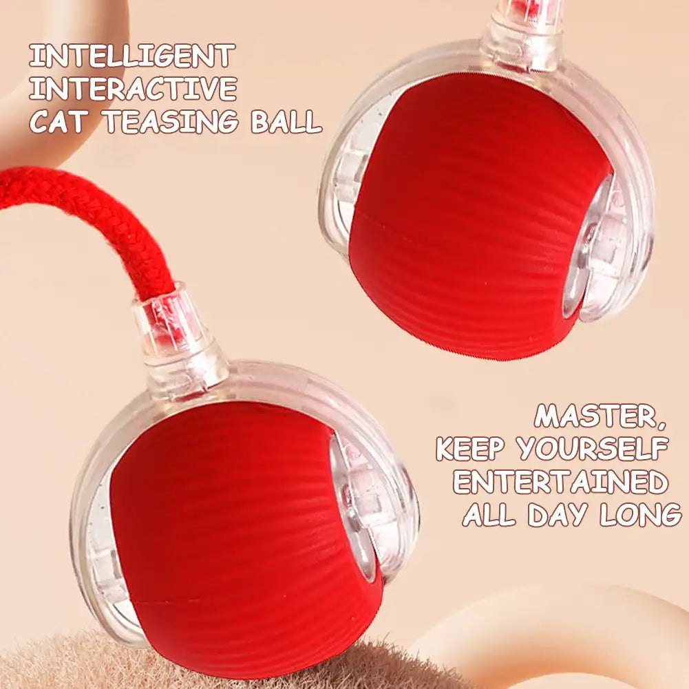 Automatic Interactive Cat Ball Toy – Self-Rolling Rechargeable Smart Motion Ball for Indoor Cats