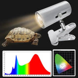 UVA + UVB Pet Reptile Heating Lamp – 25W/50W/75W Heat Light Bulb for Turtles, Lizards & Amphibians, Full Spectrum Sunlamp for Terrariums