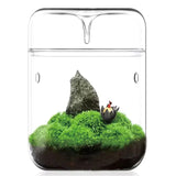 Creative Dew Collection Glass Vase – Mini Terrarium for Succulents, Moss & Micro Landscape | Decorative Glass Bottle Home Décor