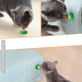 Catnip Ball Snacks – 10–50 pcs Healthy Cat Treats, Lick Candy Vitamin Pudding Lollipops for Cats
