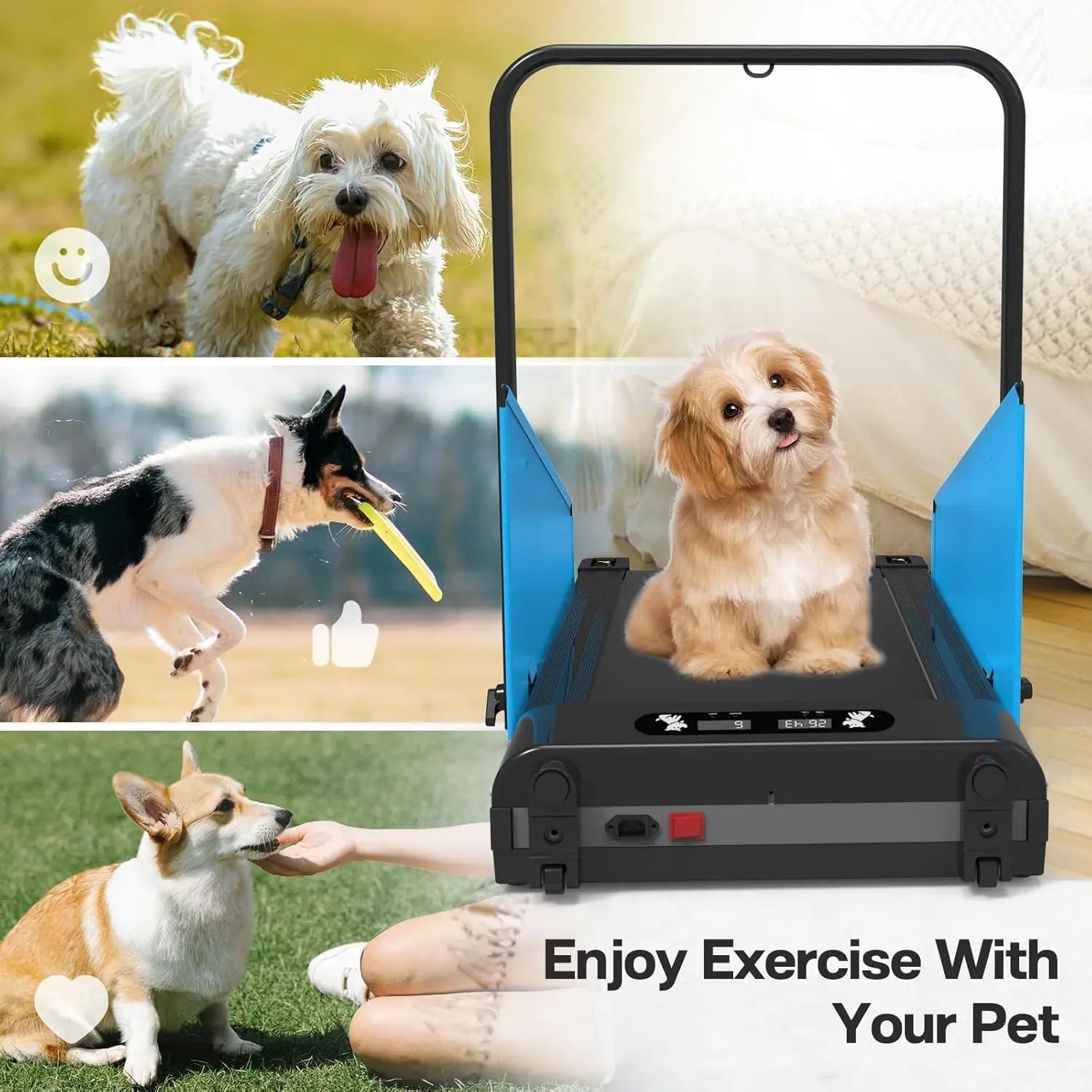 Dog Treadmill 220lbs Capacity – Folding Pet Running Machine with 2.5HP Motor for Small & Medium Dogs Training and Exercise