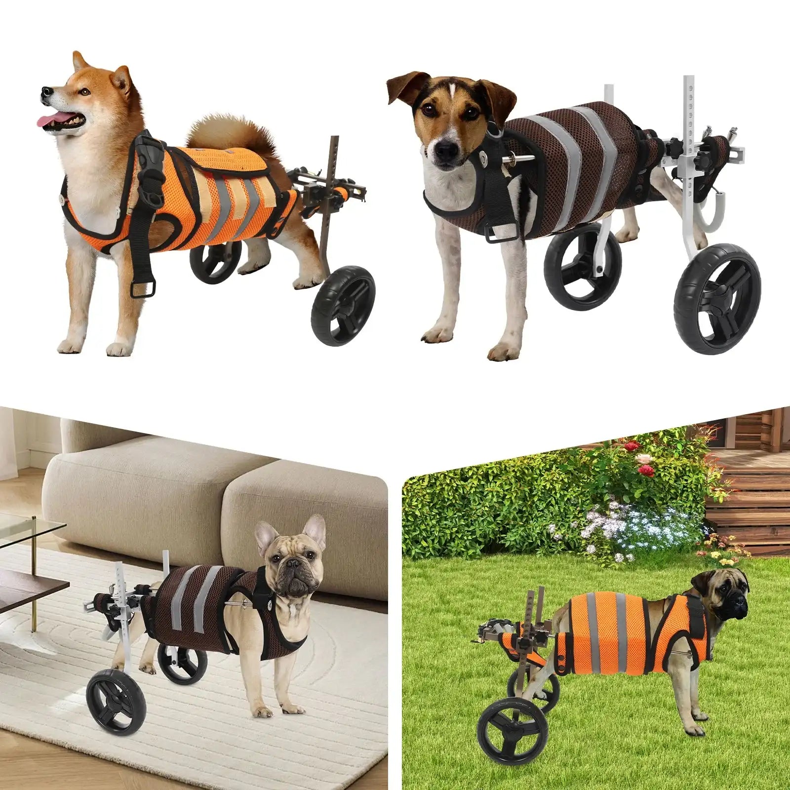 Adjustable Back-Leg Pet Wheelchair – Lightweight Mobility Cart for Dogs & Cats 🐾