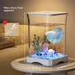 Aquarium Starter Kit – Mini Desktop Betta Fish Tank with Top Feeding Hole & Built-In Bottom Light, Rectangular Tabletop Design