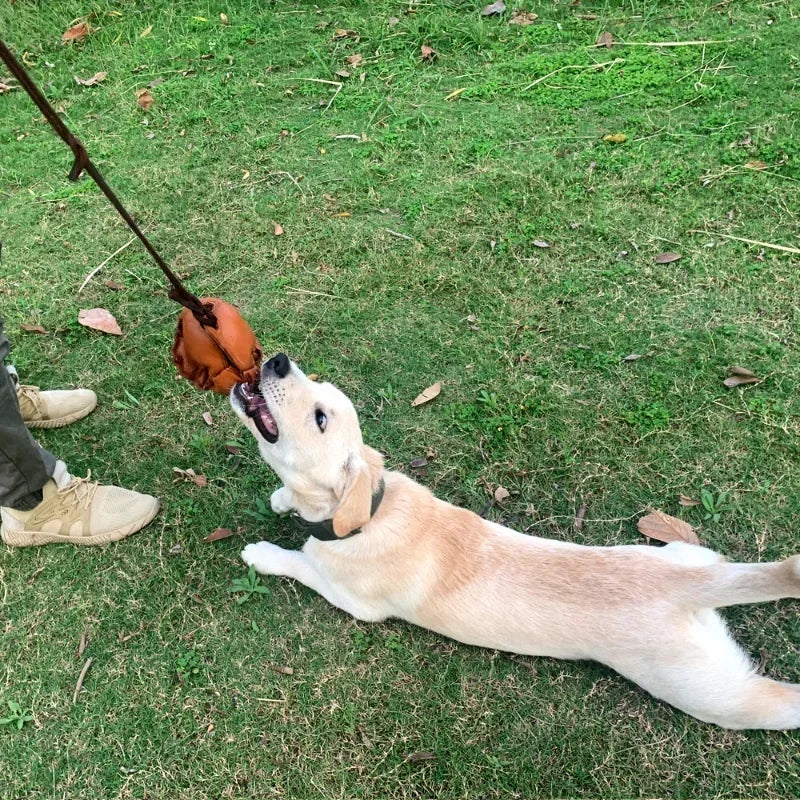 Leather Dog Training Ball – Tug, Bite & Fetch Toy with Handle for Puppies & Dogs