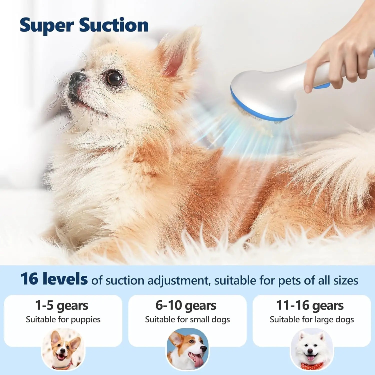 5-in-1 Pet Grooming Vacuum Kit – Low Noise Hair Remover with 2.0L Dust Cup for Dogs & Cats, Shedding & Grooming Tool