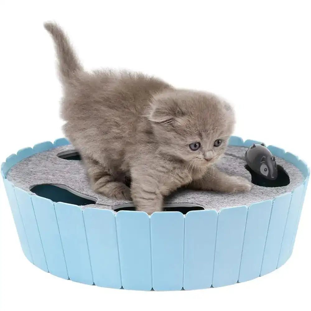 Interactive Running Mouse Cat Toy – Automatic Teaser Indoor Play & Hide-Seek Pet Toy