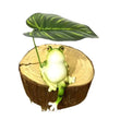 Resin Frog Garden Statue – Realistic Leaf-Holding Frog Figurine for Fish Ponds, Home & Office Outdoor Décor